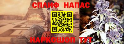кокс Можга