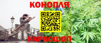 кокс Можга