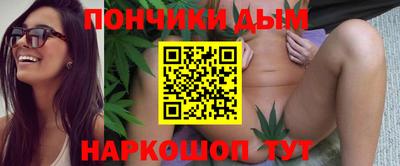 кокс Можга