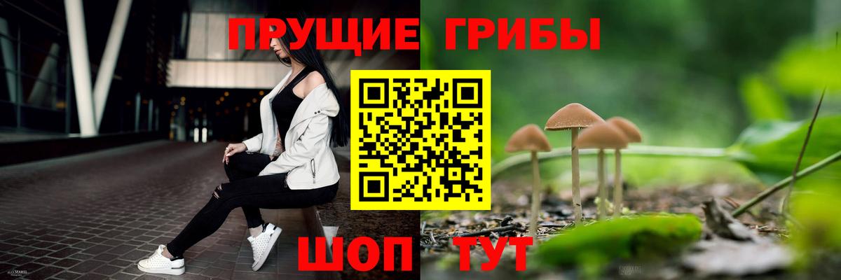 Галлюциногенные грибы Psilocybine cubensis Соликамск